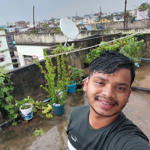 Dipankar P. profile photo
