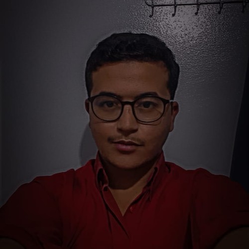 mohamed d.