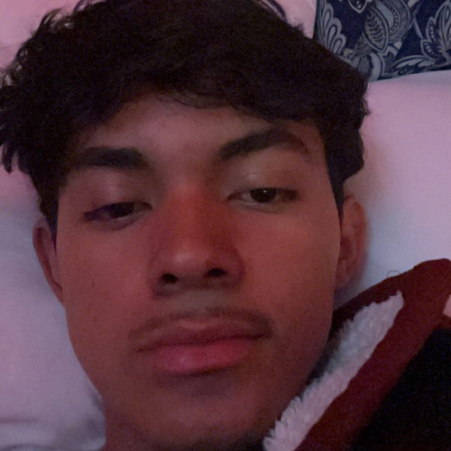 Jose D. profile photo