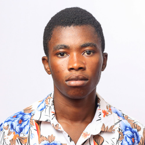 Kingsley  N. profile photo