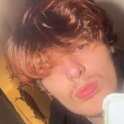 Eli F. profile photo