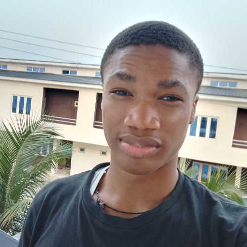 Emmanuel  N. profile photo