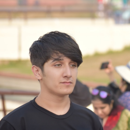 Bahram H.