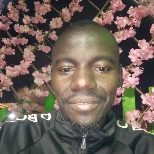 Dennis M. profile photo