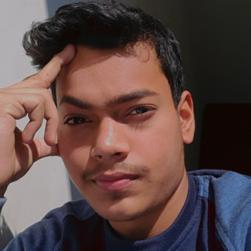Anshuman V.
