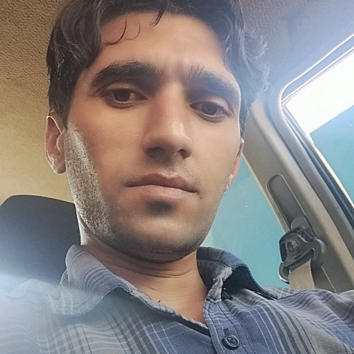 Bahram  P. profile photo