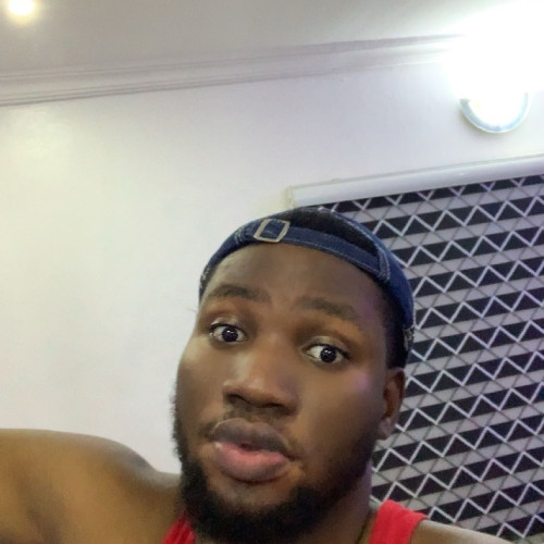 Olayinka N. profile photo