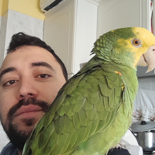 Marco F.