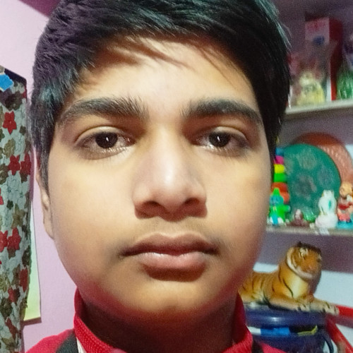 Abhiraj R.