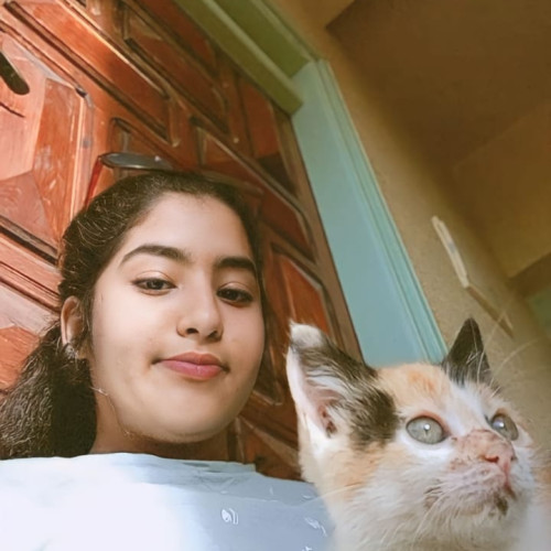 Fatima zahra  B. profile photo