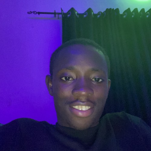 Osamudiamen R.