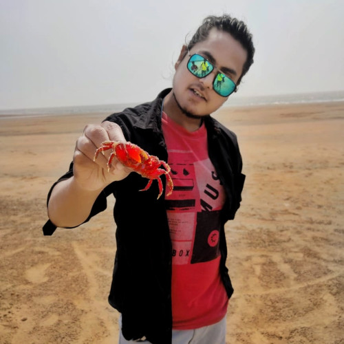 Mihir H.