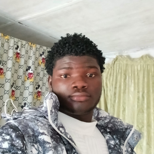 Kevin P. profile photo