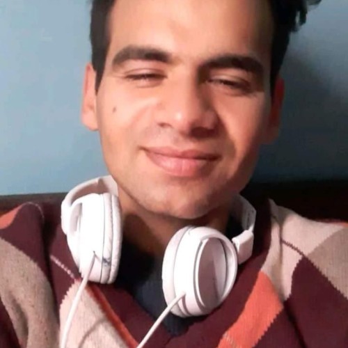Puneet S.
