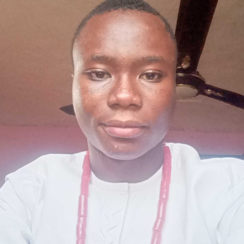 Kelvin K. profile photo