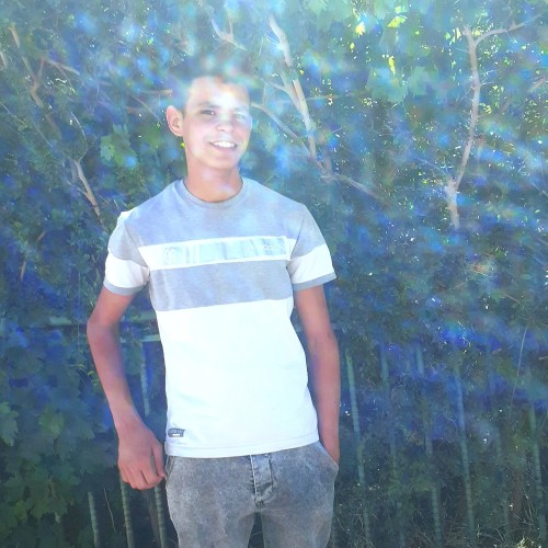 Mohamed B.