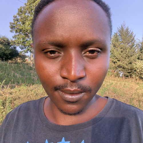 Allan B. profile photo