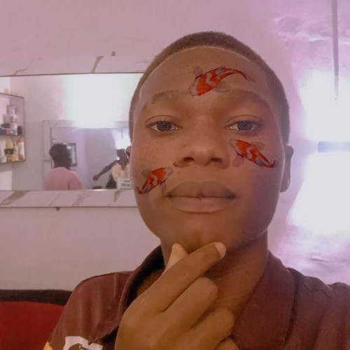 Chigozie O. profile photo