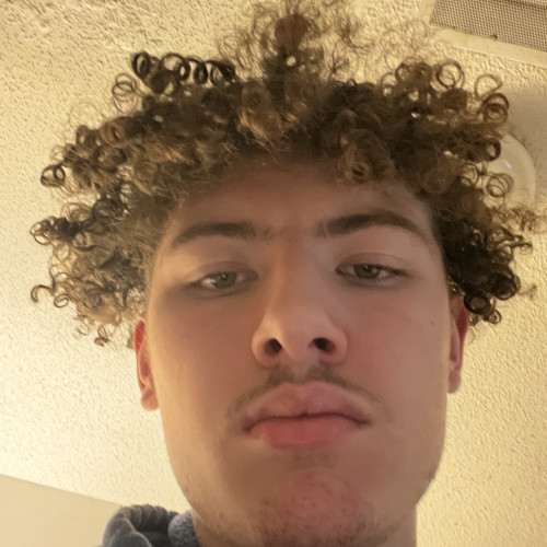 Logan Z. profile photo
