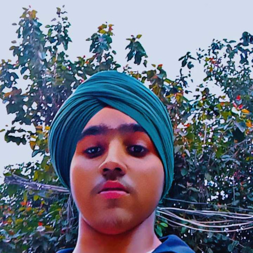 Balkaran Singh D. profile photo