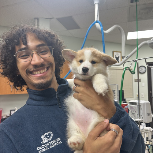 Jaylen S. profile photo