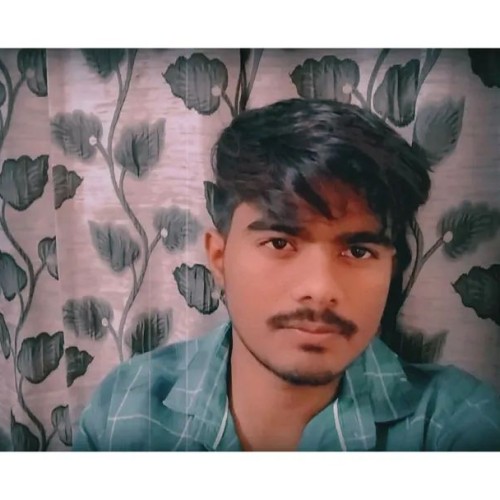 vivek p.