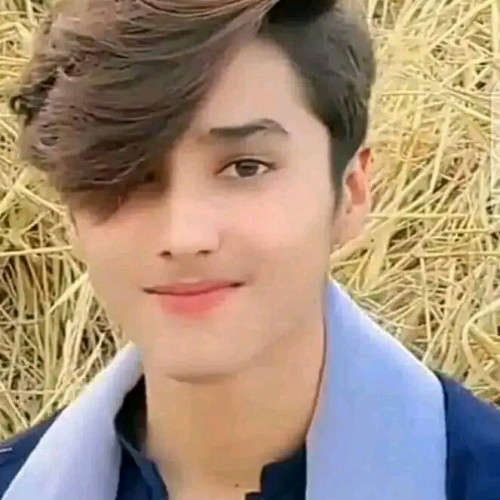 Ahmad S. profile photo