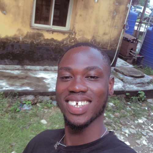 Demilade  A. profile photo