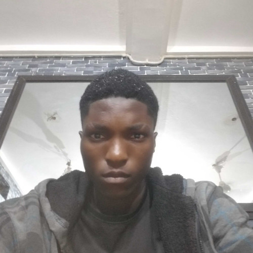 Timmy O. profile photo