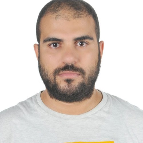 Chaouki N.