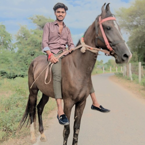 Kishansinh R. profile photo
