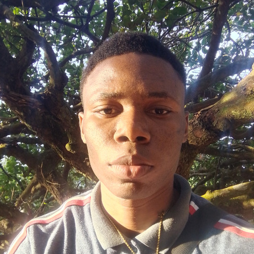 Michael  C. profile photo