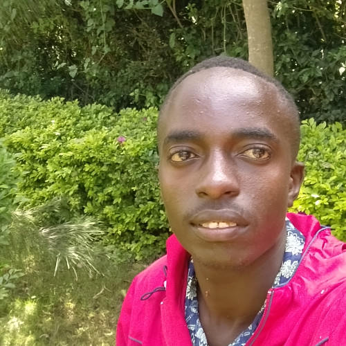 Joshua  B. profile photo