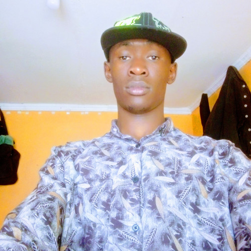 Dave M. profile photo