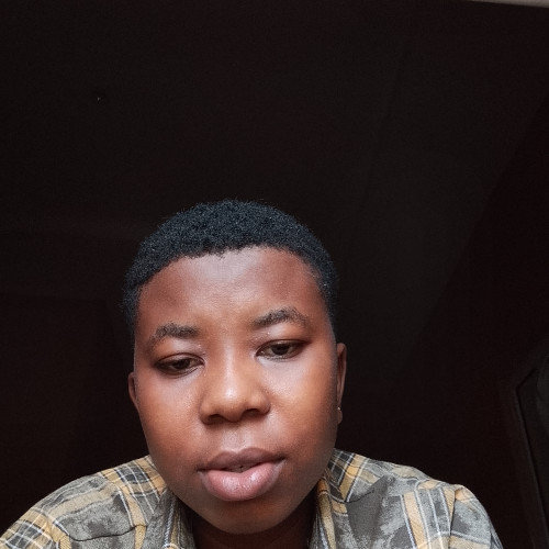 Chikamso W. profile photo