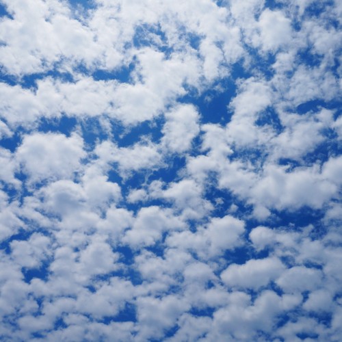 Mohamed EL Mehdi B. profile photo