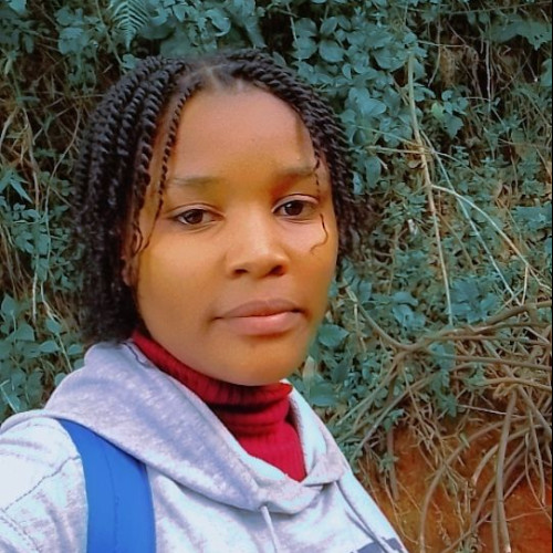 Ann N. profile photo