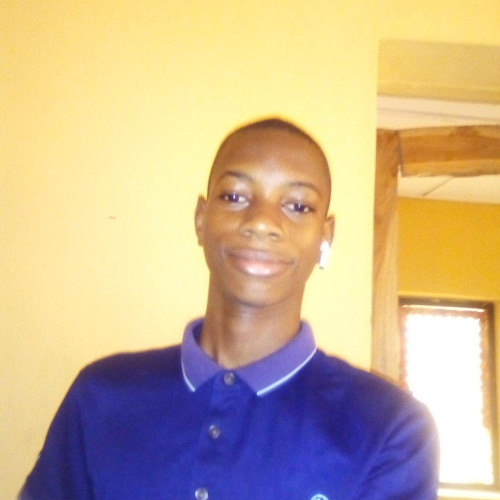 Ajayi I.
