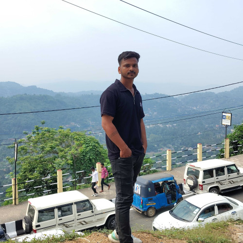 satish p. profile photo