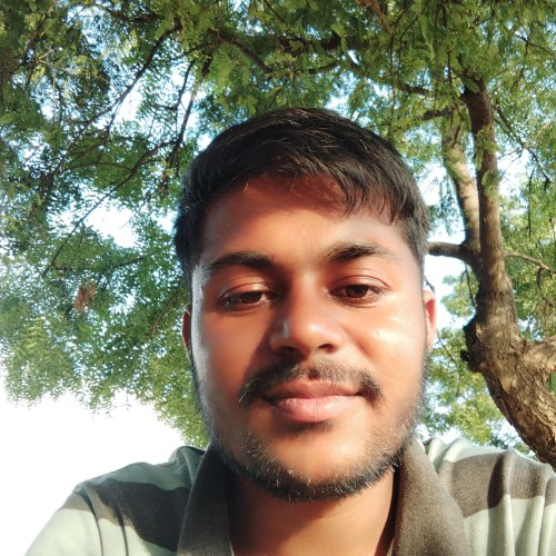 Megha shyam reddy  P.