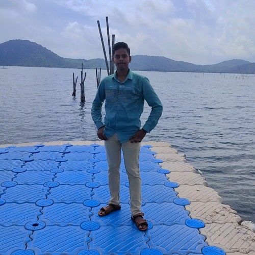 PRAVEEN K.