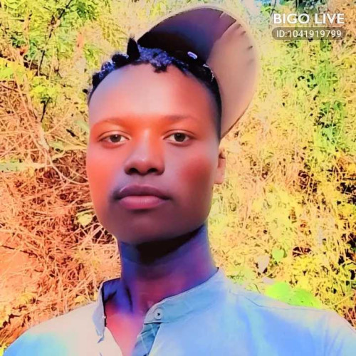 Kelvi l.