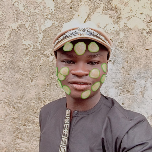 Romanus  N. profile photo