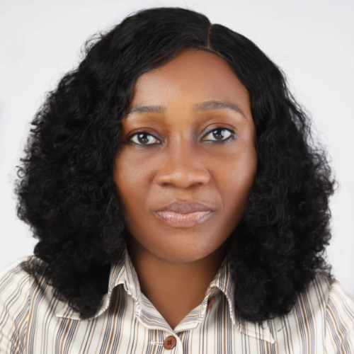 oluwadamilola l. profile photo