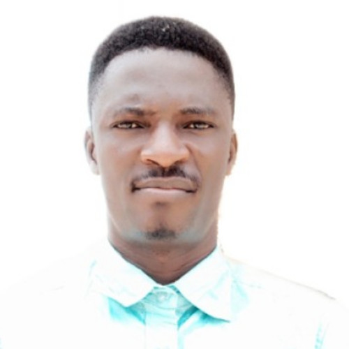 Stephen Abiodun  O. profile photo