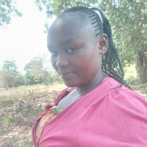 Rebecca  K. profile photo