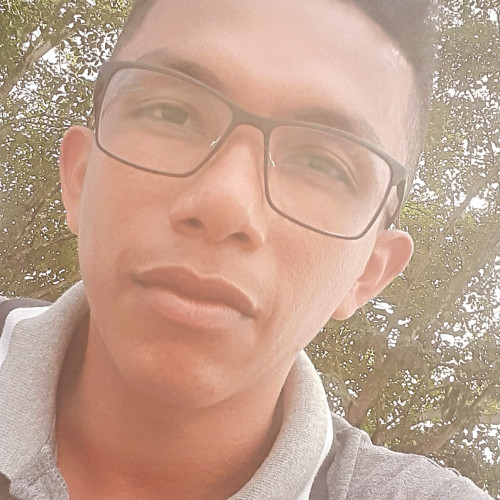 Ronilson P. profile photo