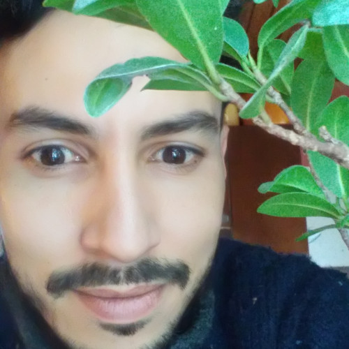 Abdelmounim E. profile photo