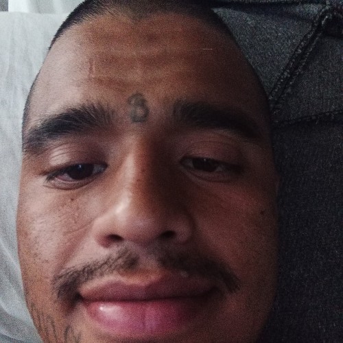 Gustavo P.