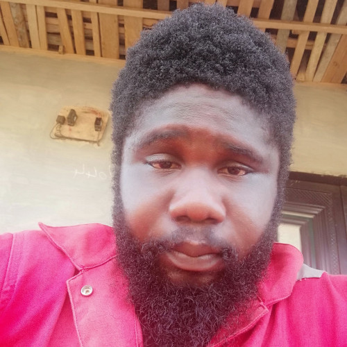 Ebibo O. profile photo